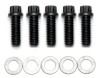 Wilwood Bolt Kit - Wide 5 Drive Flange 12 Point Chrome Moly - 5 pk. - Wilwood - part 230-6911 - TLNS Motorsports