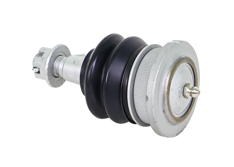 Whiteline 11-25 Ram 1500 Fixed Offset UCA Replacement Ball Joint Kit - Whiteline - part KSK183 - TLNS Motorsports