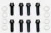 Wilwood Bolt Kit - Wide 5 Drive Flange 12 Point Chrome Moly - 8 pk. - Wilwood - part 230-1378 - TLNS Motorsports