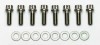 Wilwood Bolt Kit - 1/4-28 x.75- 8 pk. - Wilwood - part 230-7011 - TLNS Motorsports