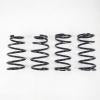 RS-R 2016+ Lexus RX350 AWD Down Sus Springs - RS-R - part T298D - TLNS Motorsports