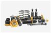 ISC Suspension 14-17 Mazda 3 N1 Coilovers - Street - ISC Suspension - part M124-S - TLNS Motorsports