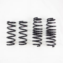 RS-R 2011-2019 Infiniti M37/Q70 V6 RWD (KY51) Down Sus Springs - part N281D - TLNS Motorsports