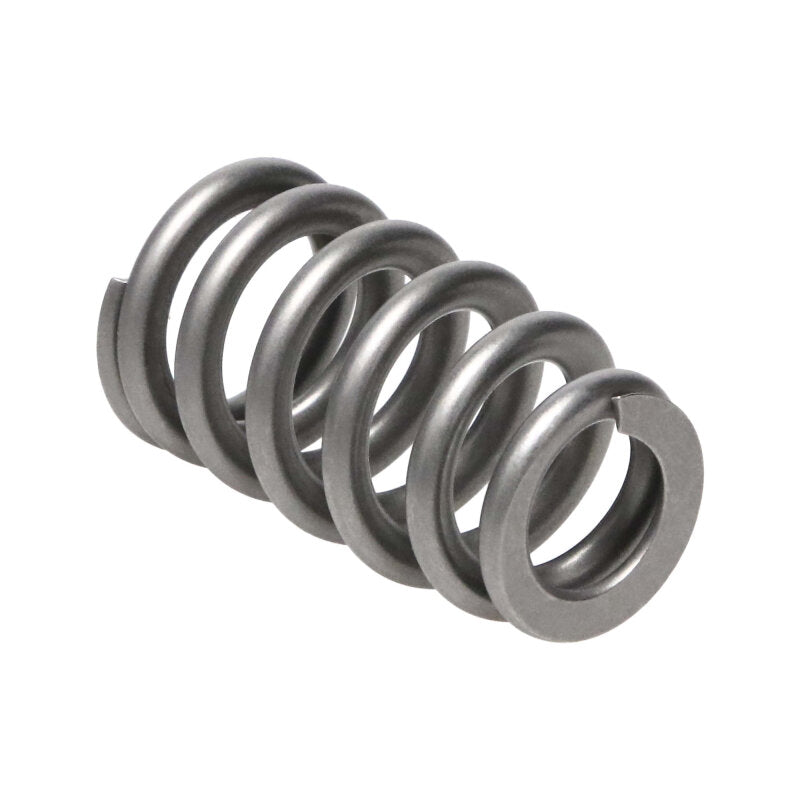 Manley GM LS Series Super Finished H.P. Valve Springs .650 Max Lift (16 Pieces) - Manley Performance - part 221438-16 - TLNS Motorsports
