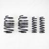 RS-R 2016 Chevrolet Camaro SS Down Sus Springs - RS-R - part CH101D - TLNS Motorsports