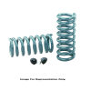 Hotchkis 70-81 Camaro / Firebird Small Block Front Performance Coil Springs - Hotchkis - part 1908F - TLNS Motorsports