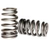 Comp Cams Valve Spring, Acura B18, Outer - COMP Cams - part 913-O-1 - TLNS Motorsports